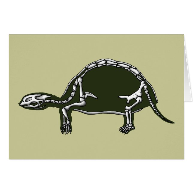 tortoise skeleton (Anverso (Horizontal))