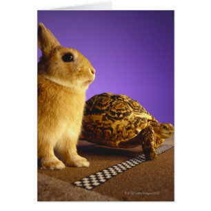 Tortoise y la liebre