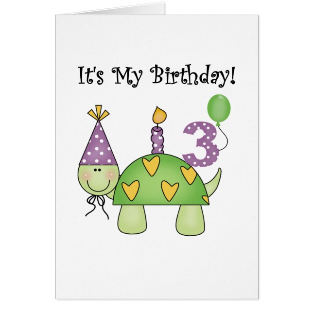 Tortuga 3 camisetas de cumpleaños y regalos (Frente)