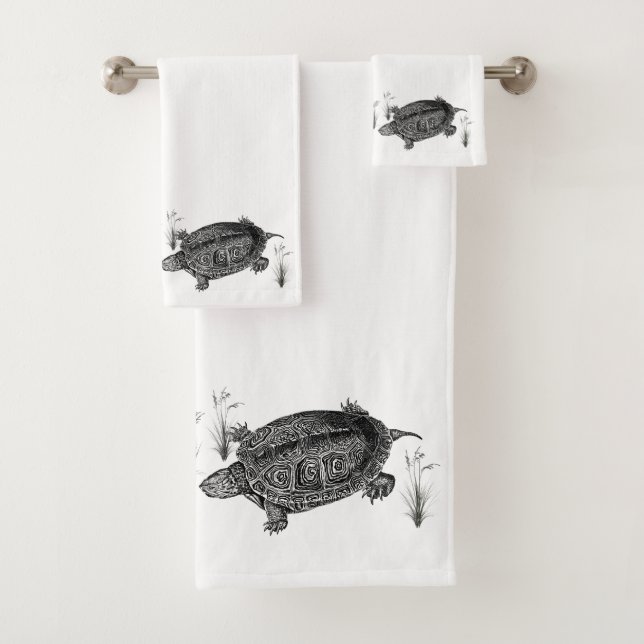 Tortuga acuática negra y blanca (In situ)