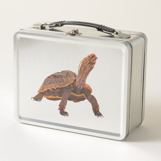 Tortuga Copia Copia Copia Copia Copia Copia Copia (Anverso)