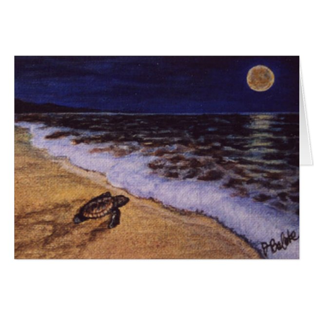 tortuga de bebé en la playa de costa rica (Anverso (Horizontal))