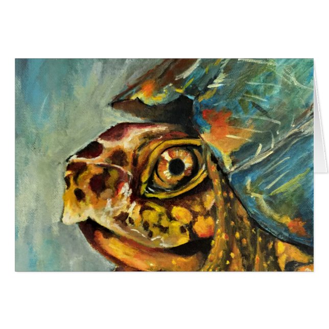 tortuga de caja (Anverso (Horizontal))