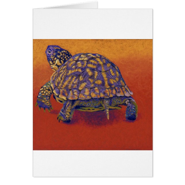 Tortuga de caja, tortuga (Frente)