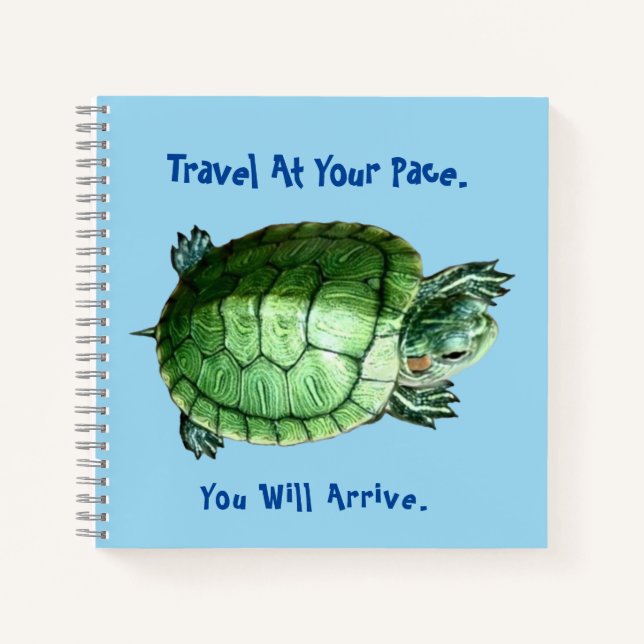 Tortuga de cuaderno (Anverso)