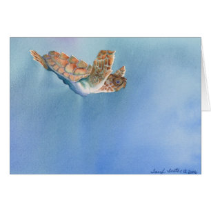 tortuga de mar