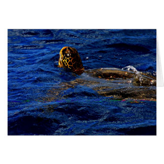 Tortuga de mar