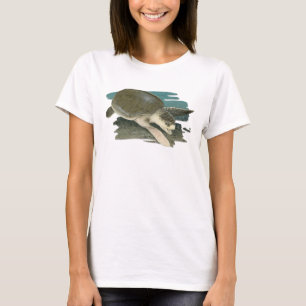 Tortuga de mar de Ridley de Kemp en camiseta del
