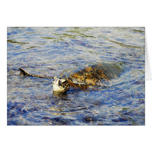 Tortuga del Mar Verde, Hawaii, tarjeta