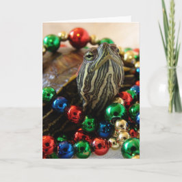Tortuga del navidad