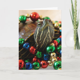 Tortuga del navidad