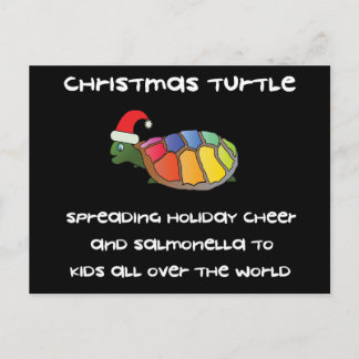 Tortuga del navidad