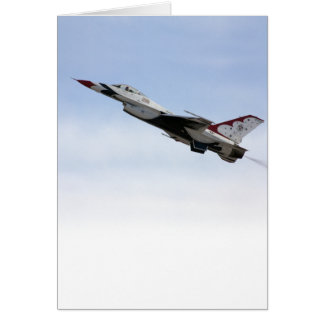 Tortuga F-16 en vuelo