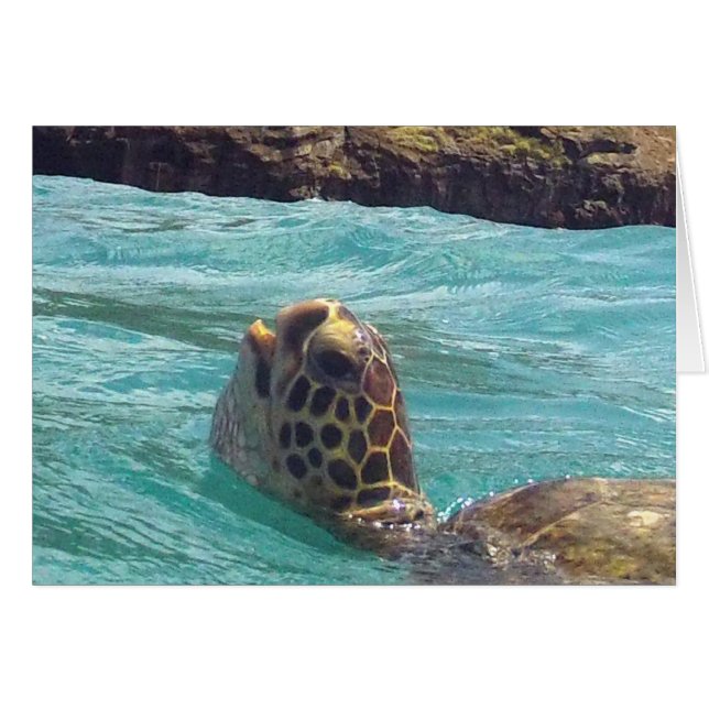 Tortuga Hawaii Honu (Anverso (Horizontal))