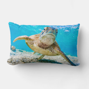 Tortuga marina azul frente a almohada lumbar delan