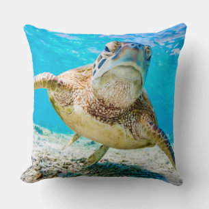 Tortuga marina azul frente a la almohada de tiro