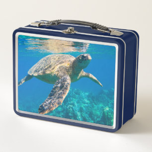 Tortuga marina nadadora