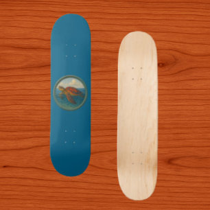Tortuga Marina Patineta Azul Océano