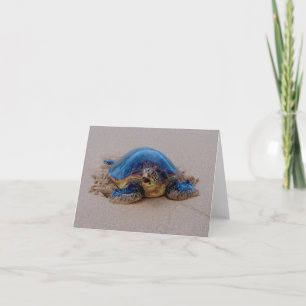 Tortuga marina que bostece