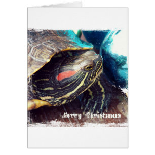 Tortuga navidad