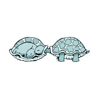 tortuga pegatina