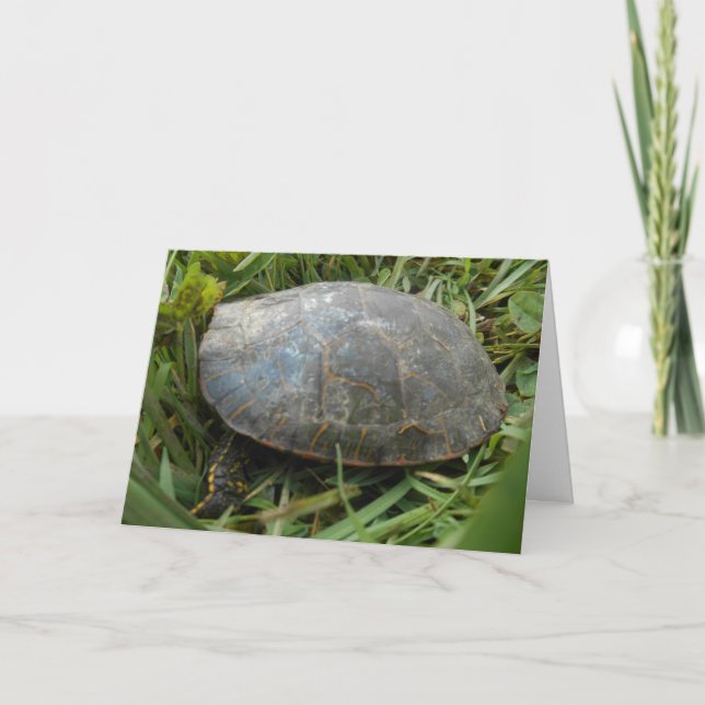 "Tortuga pintada de arboreto" - Tarjeta de agradec (Anverso)