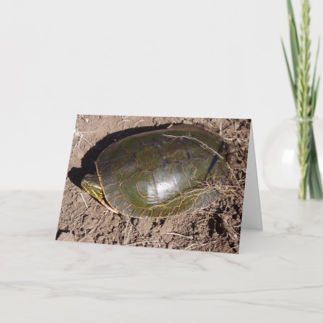"Tortuga pintada" Tarjeta de agradecimiento (Anverso)