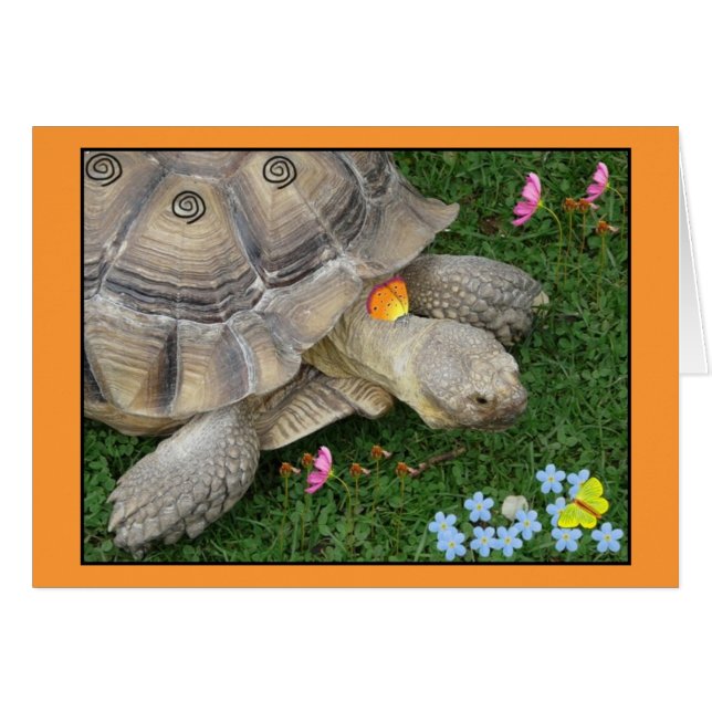 tortuga y flores (Anverso (Horizontal))