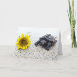Tortuga y tarjeta de saludo de diente de león