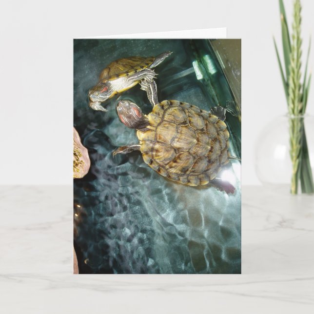 "Tortugas bailarinas", tarjeta de agradecimiento (Anverso)