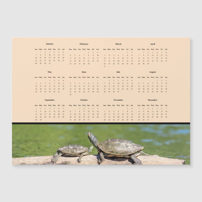 Tortugas - Calendario completo del año 2024 (Anverso)