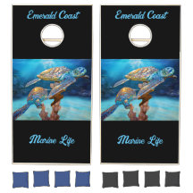 Tortugas marinas costa esmeralda