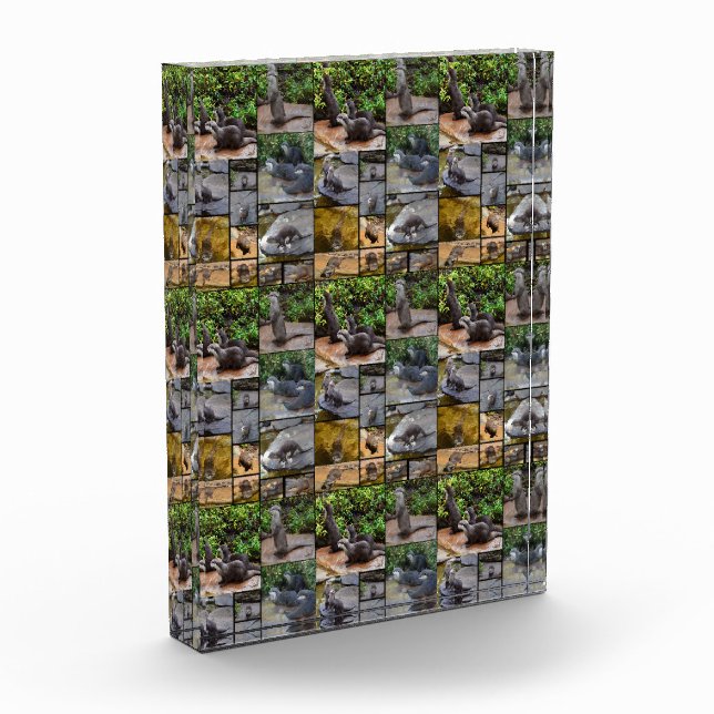 **"Totalmente adorable: Un Collage de fotos de nut (Izquierda)