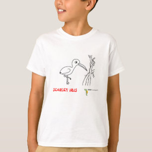 Totalmente rojo de la camiseta de Ibis del