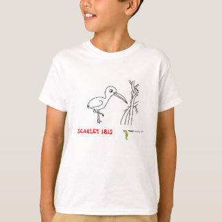 Totalmente rojo de la camiseta de Ibis del