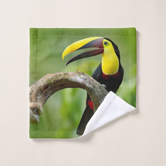 Toucan sentado en la rama del bosque (Toallita)
