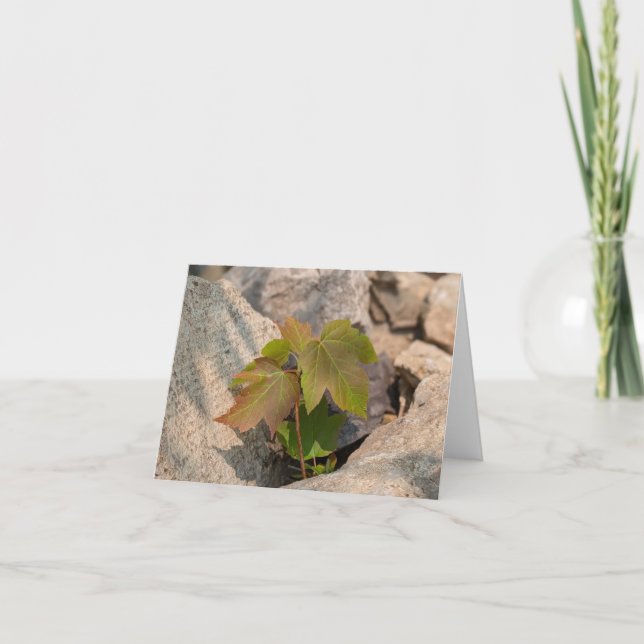 Touch de la Naturaleza - Tarjeta de felicitación y (Anverso)