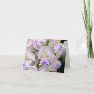 Touch de la Naturaleza - Tarjeta de felicitación y