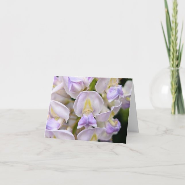 Touch de la Naturaleza - Tarjeta de felicitación y (Anverso)