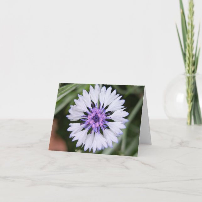 Touch de la Naturaleza - Tarjeta de felicitación y (Anverso)