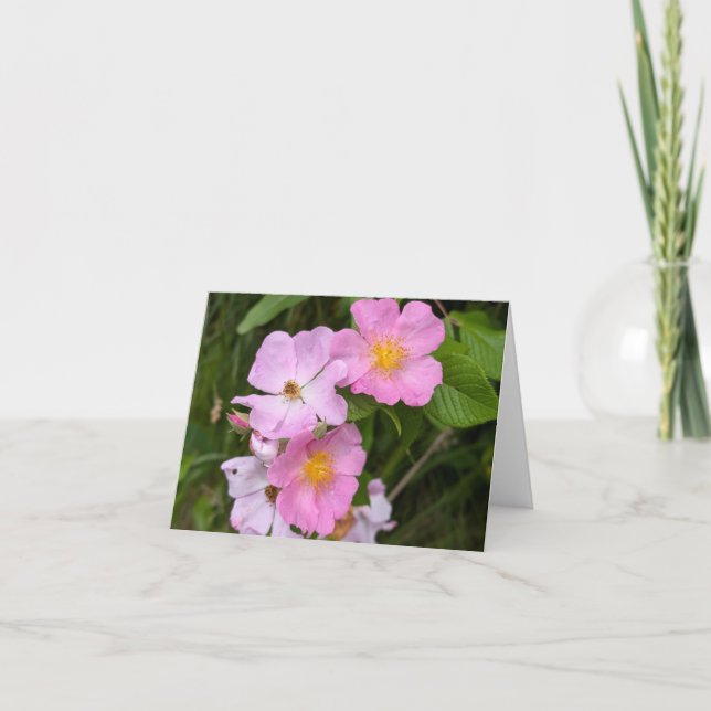 Touch de la Naturaleza - Tarjeta de felicitación y (Anverso)