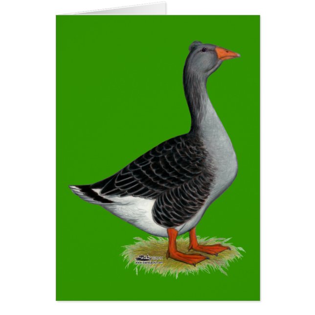 Toulouse Goose Tufted (Frente)