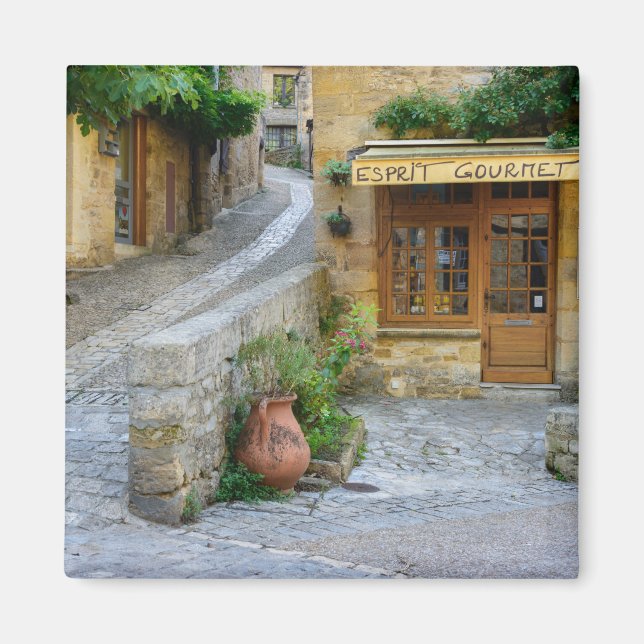 Townscape en Dordogne, imán francés (Frente)
