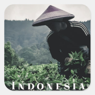 Trabajador de campos de té indonesio, pegatina de 