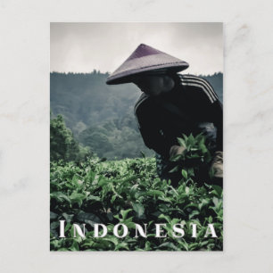 Trabajador de los campos de té indonesios, postal 