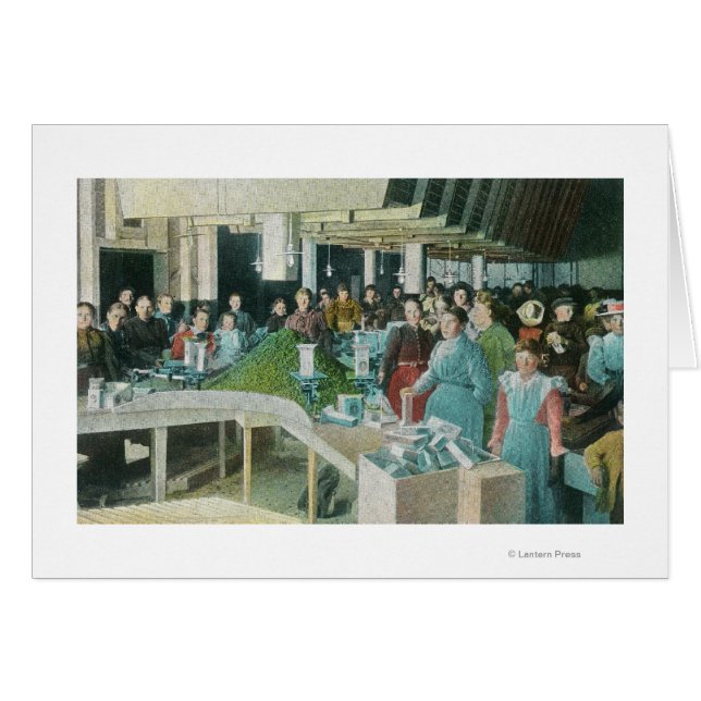 Trabajadores empacando las lluvias sembradas (Anverso (Horizontal))