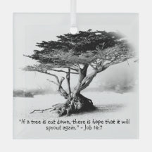 Trabajo 14:7 Ornamento de vidrio