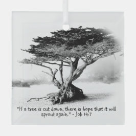 Trabajo 14:7 Ornamento de vidrio