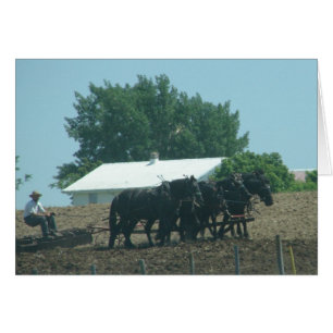 Trabajo de campo con caballos