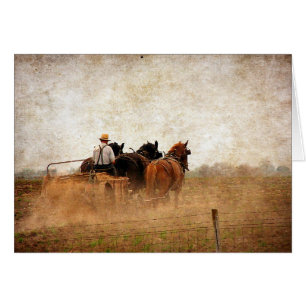 Trabajo de campo impulsado por caballos